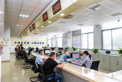 做天下頭等大事 我開理發(fā)店的全攻略與信息咨詢服務